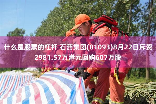 什么是股票的杠杆 石药集团(01093)8月22日斥资2981.57万港元回购607万股