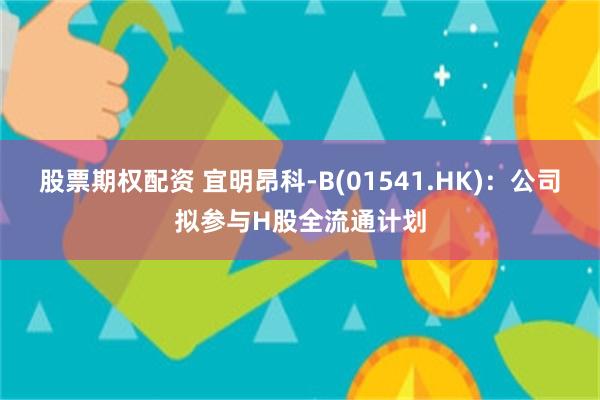 股票期权配资 宜明昂科-B(01541.HK)：公司拟参与H股全流通计划