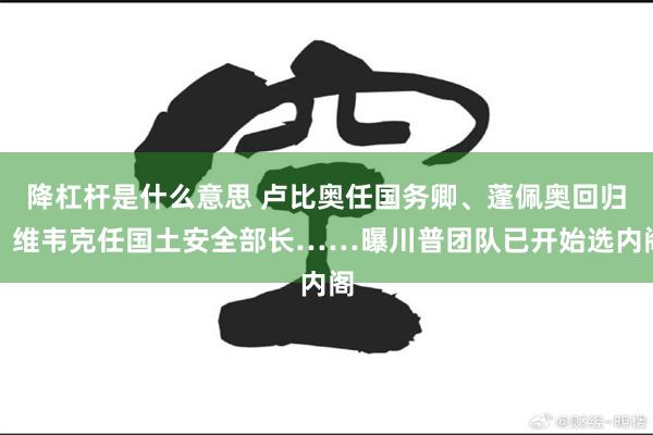 降杠杆是什么意思 卢比奥任国务卿、蓬佩奥回归、维韦克任国土安全部长……曝川普团队已开始选内阁