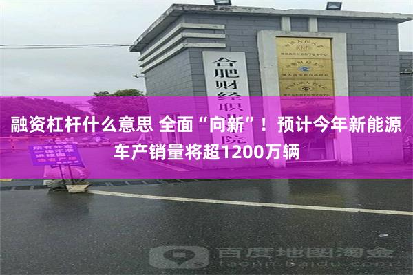 融资杠杆什么意思 全面“向新”！预计今年新能源车产销量将超1200万辆