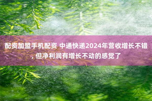 配资加盟手机配资 中通快递2024年营收增长不错, 但净利润有增长不动的感觉了