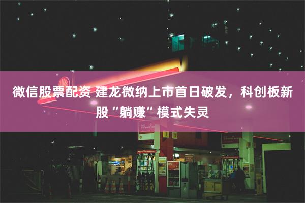 微信股票配资 建龙微纳上市首日破发，科创板新股“躺赚”模式失灵