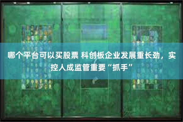 哪个平台可以买股票 科创板企业发展重长劲，实控人成监管重要“抓手”