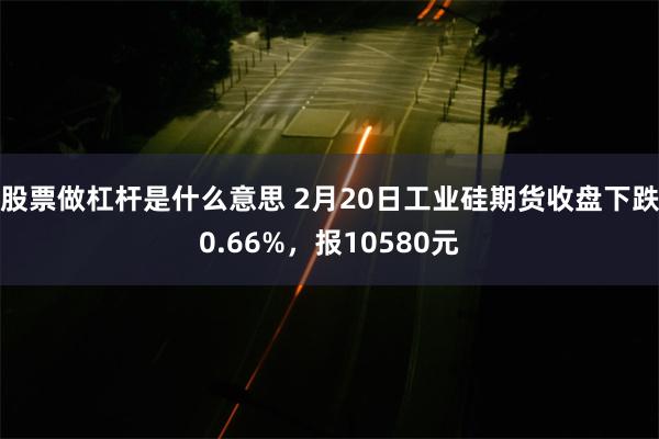 股票做杠杆是什么意思 2月20日工业硅期货收盘下跌0.66%，报10580元