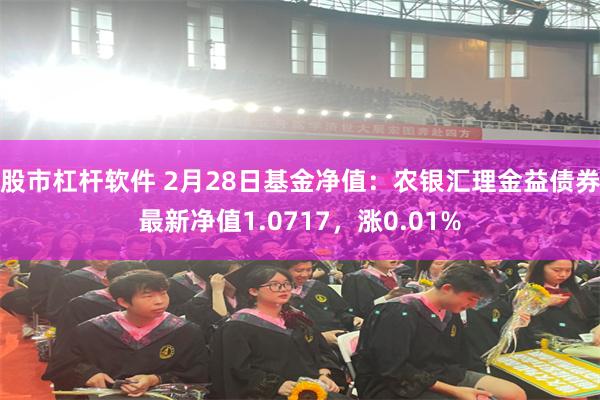 股市杠杆软件 2月28日基金净值：农银汇理金益债券最新净值1.0717，涨0.01%